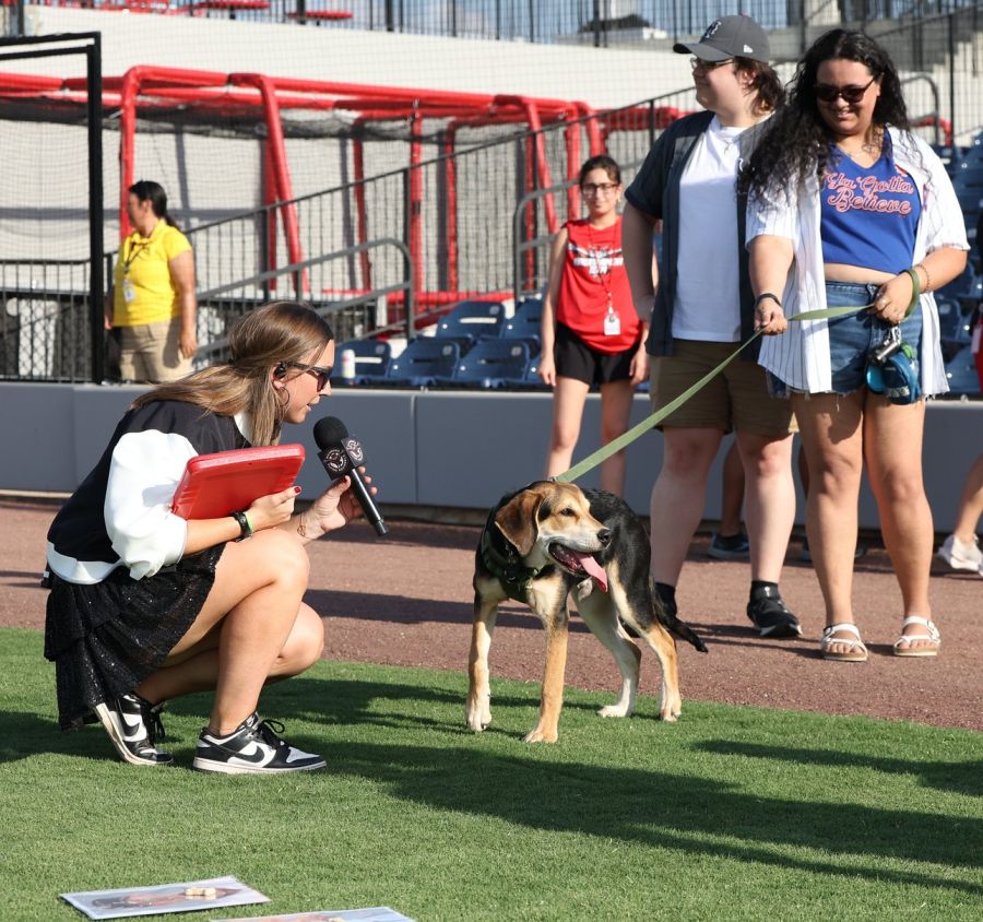 Megan Angstadt - Baseball Emcee